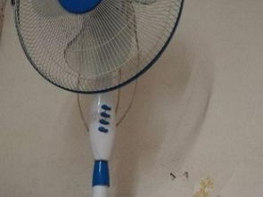 滬上家居生活圖鑒 從廚房用品到日用雜品，打造溫馨港灣